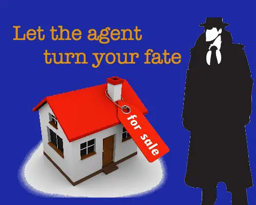 Let The Online Agent Turn Your Fate
